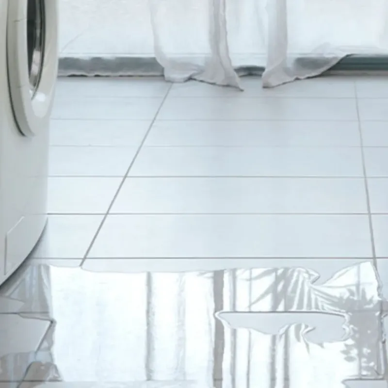 Appliance Leak Cleanup in Loma Rica, CA