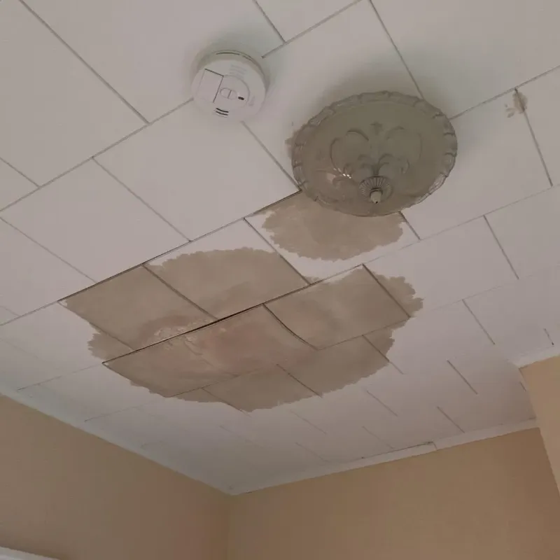 Ceiling Water Damage Repair in Loma Rica, CA