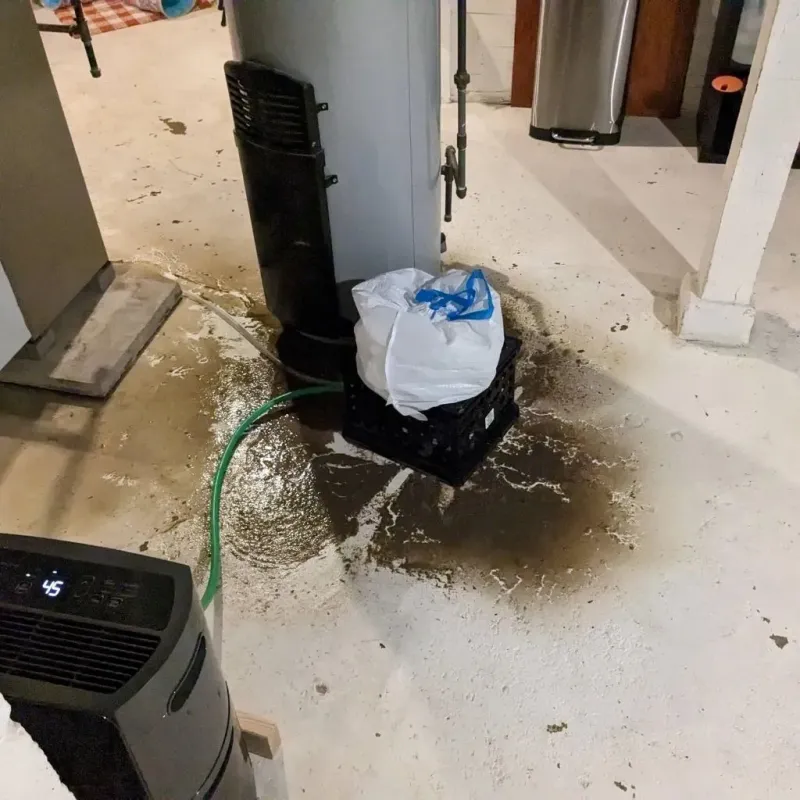 Sewage Backup Cleanup Service in Loma Rica, CA